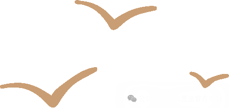 《飞飞手游》：今日首区首服，下午一点开放，速度抢占一区！！(图1)